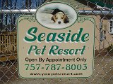 Seaside Pet Resort.jpg